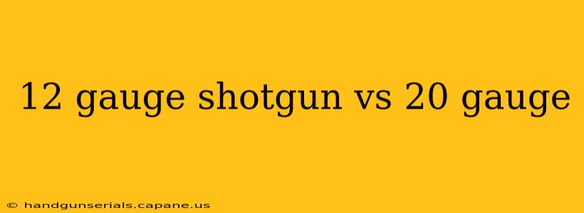 12 gauge shotgun vs 20 gauge