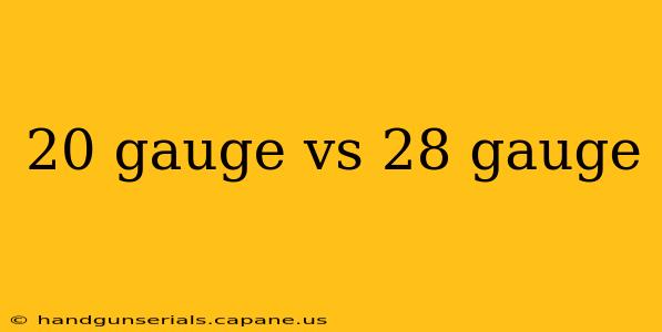 20 gauge vs 28 gauge