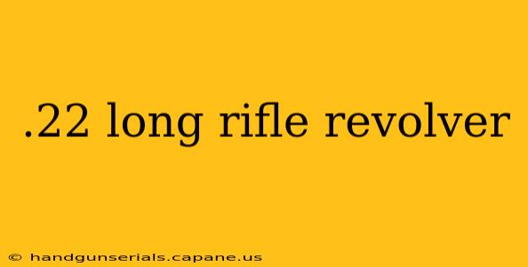 .22 long rifle revolver