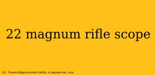 22 magnum rifle scope