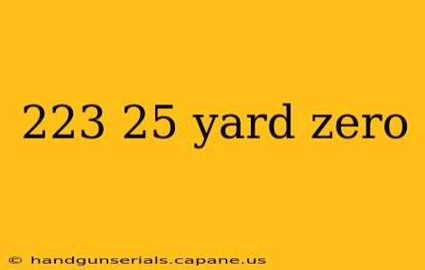 223 25 yard zero