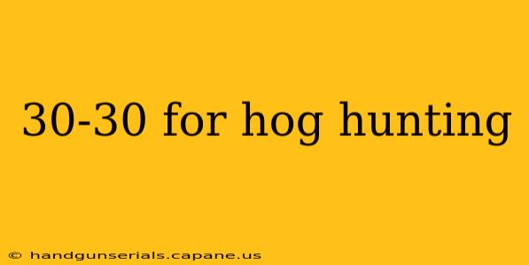 30-30 for hog hunting