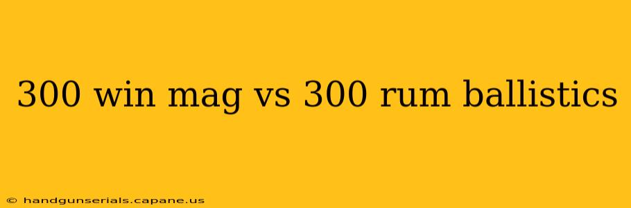 300 win mag vs 300 rum ballistics