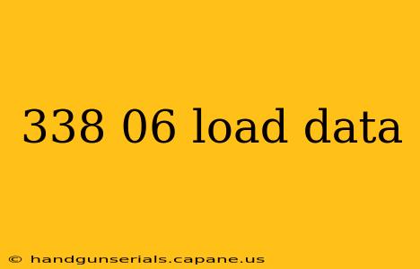 338 06 load data