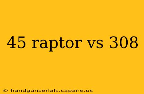 45 raptor vs 308