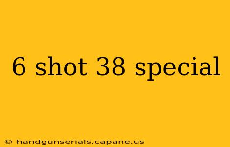 6 shot 38 special