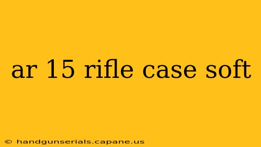 ar 15 rifle case soft