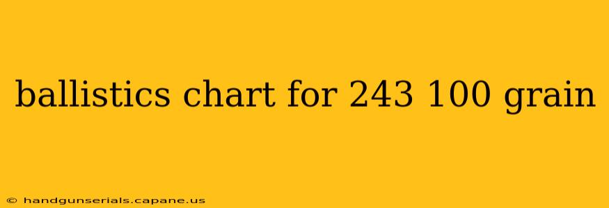 ballistics chart for 243 100 grain