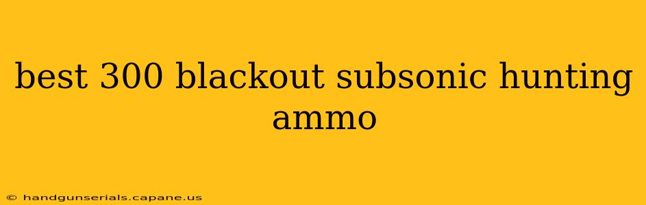 best 300 blackout subsonic hunting ammo