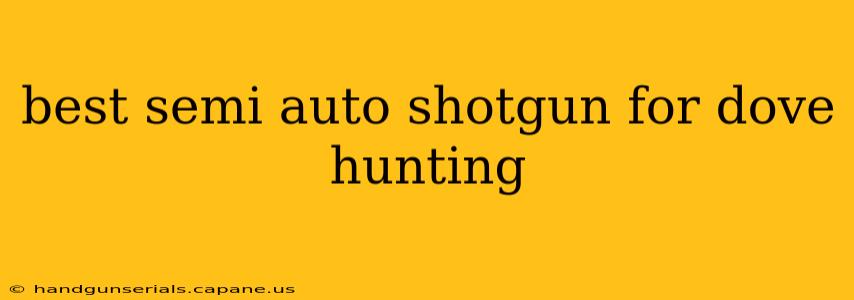 best semi auto shotgun for dove hunting