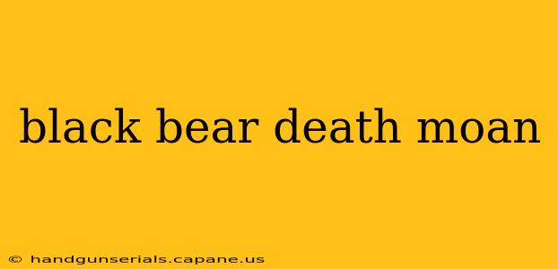 black bear death moan