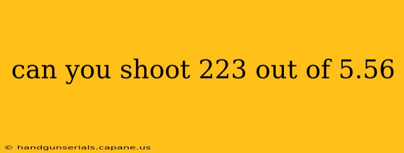 can you shoot 223 out of 5.56