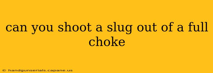 can you shoot a slug out of a full choke