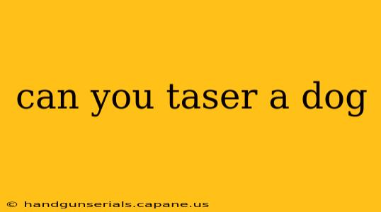 can you taser a dog