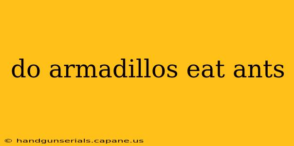 do armadillos eat ants