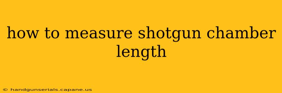 how to measure shotgun chamber length