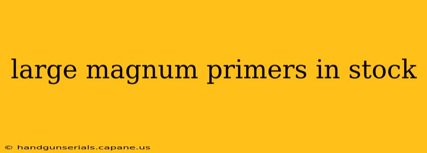 large magnum primers in stock