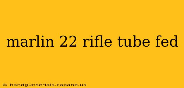 marlin 22 rifle tube fed