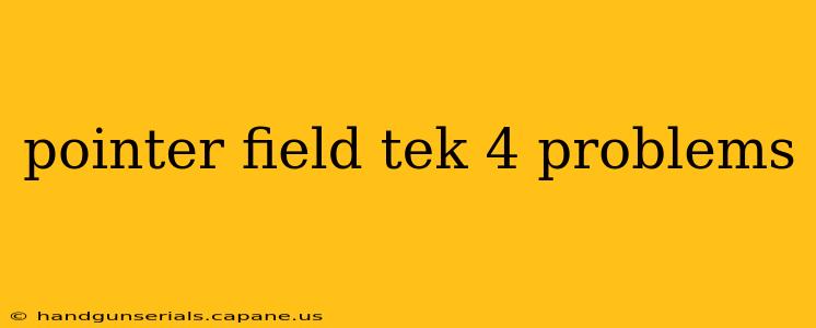 pointer field tek 4 problems