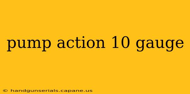 pump action 10 gauge