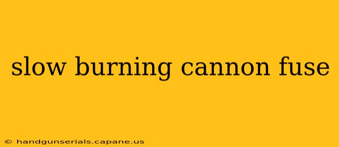 slow burning cannon fuse