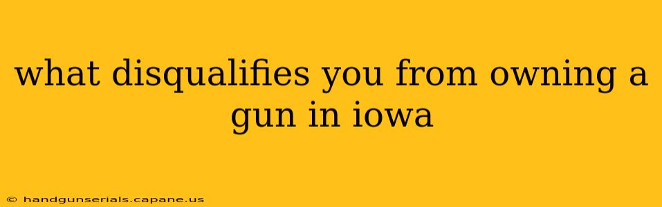 what disqualifies you from owning a gun in iowa