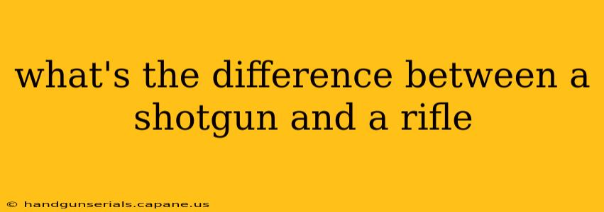 what's the difference between a shotgun and a rifle