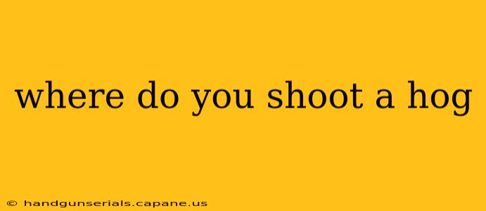 where do you shoot a hog