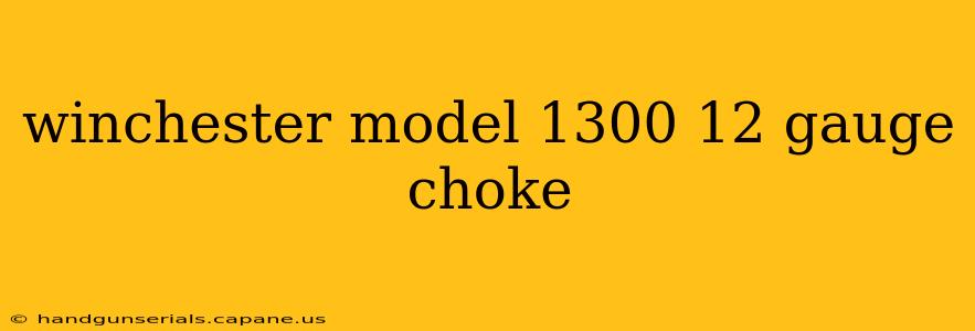 winchester model 1300 12 gauge choke